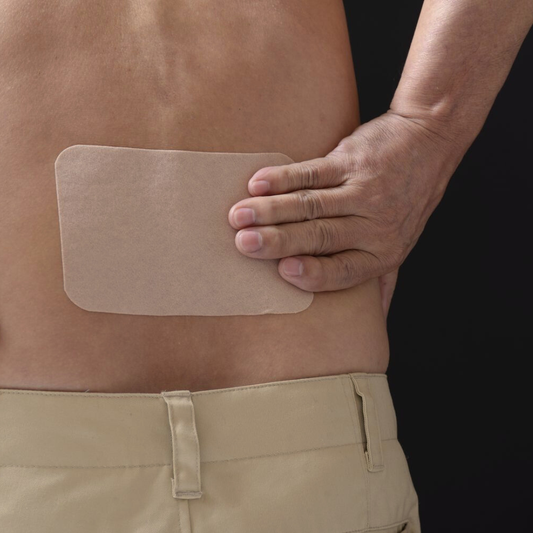 Biotessa flasteri protiv bolova